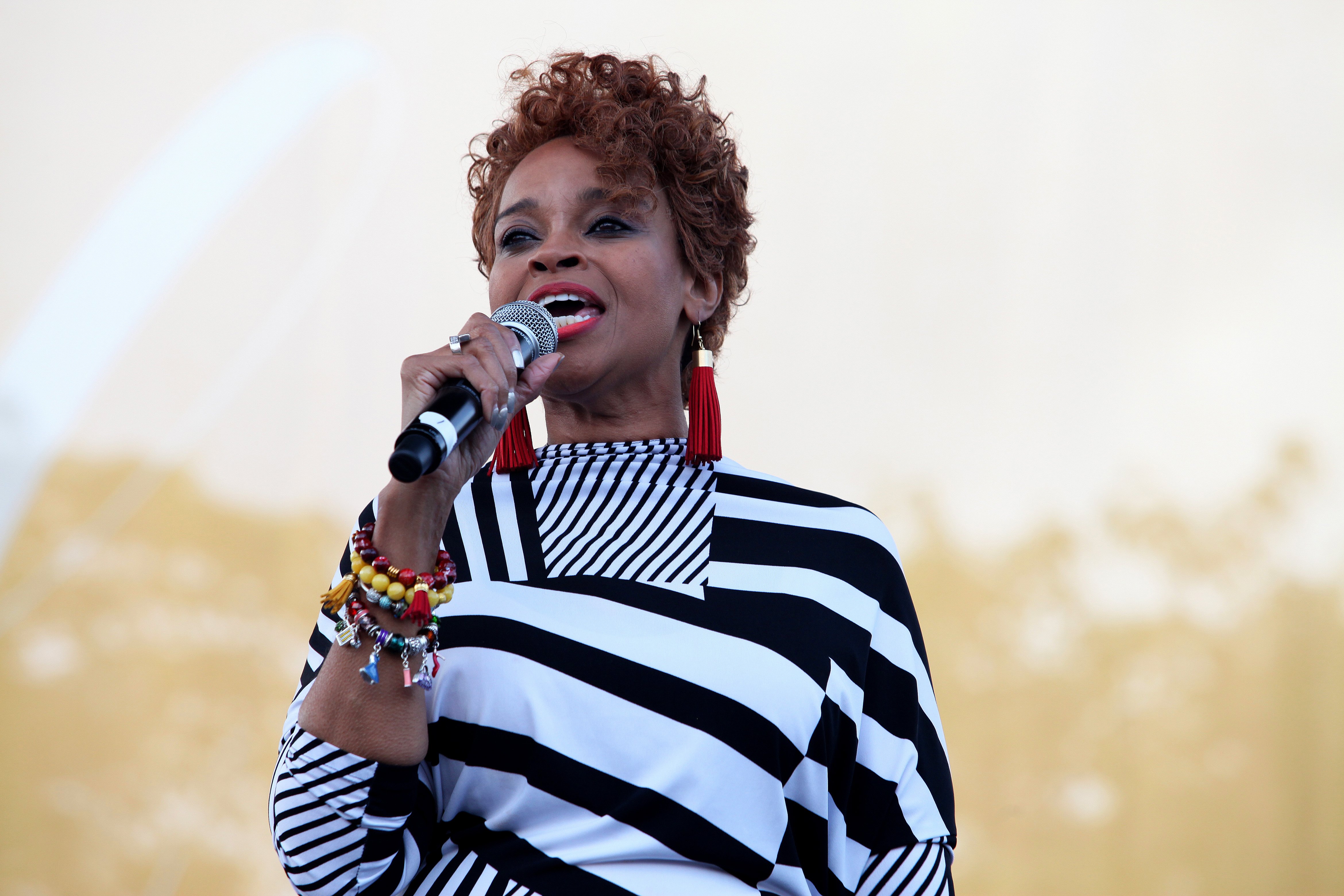 29th Annual Chicago Gospel Festival 2014 - Day 2